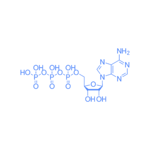 Adenosine Triphosphate (ATP) - 1g